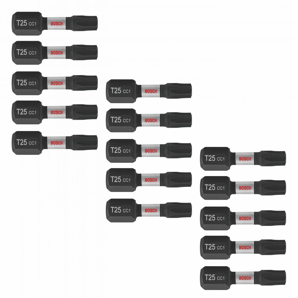 15 pc. 1 In. TorxÂŽ #25 Power Bit