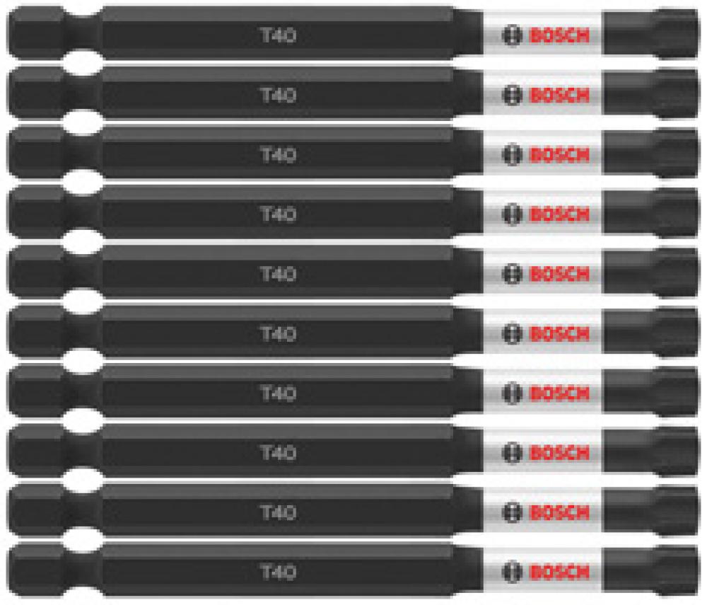 10 pc. 3.5 In. TorxÂŽ #40 Power Bit