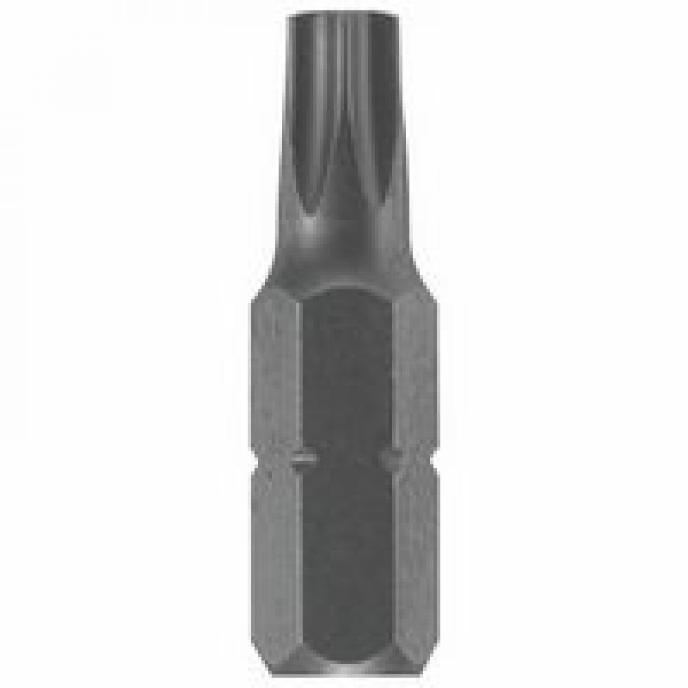 1 In. TorxÂŽ Insert Bit, T2