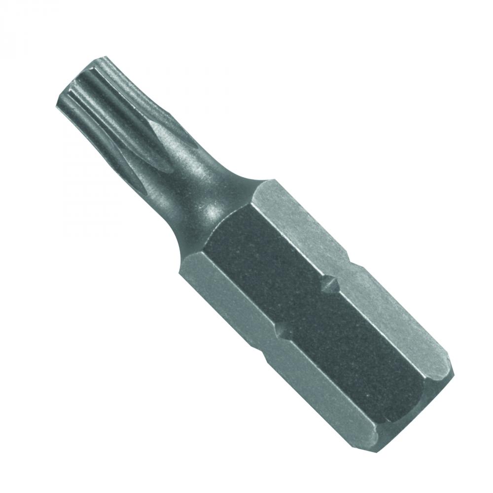 1 In. TorxÂŽ T20 Insert Bit (Bulk