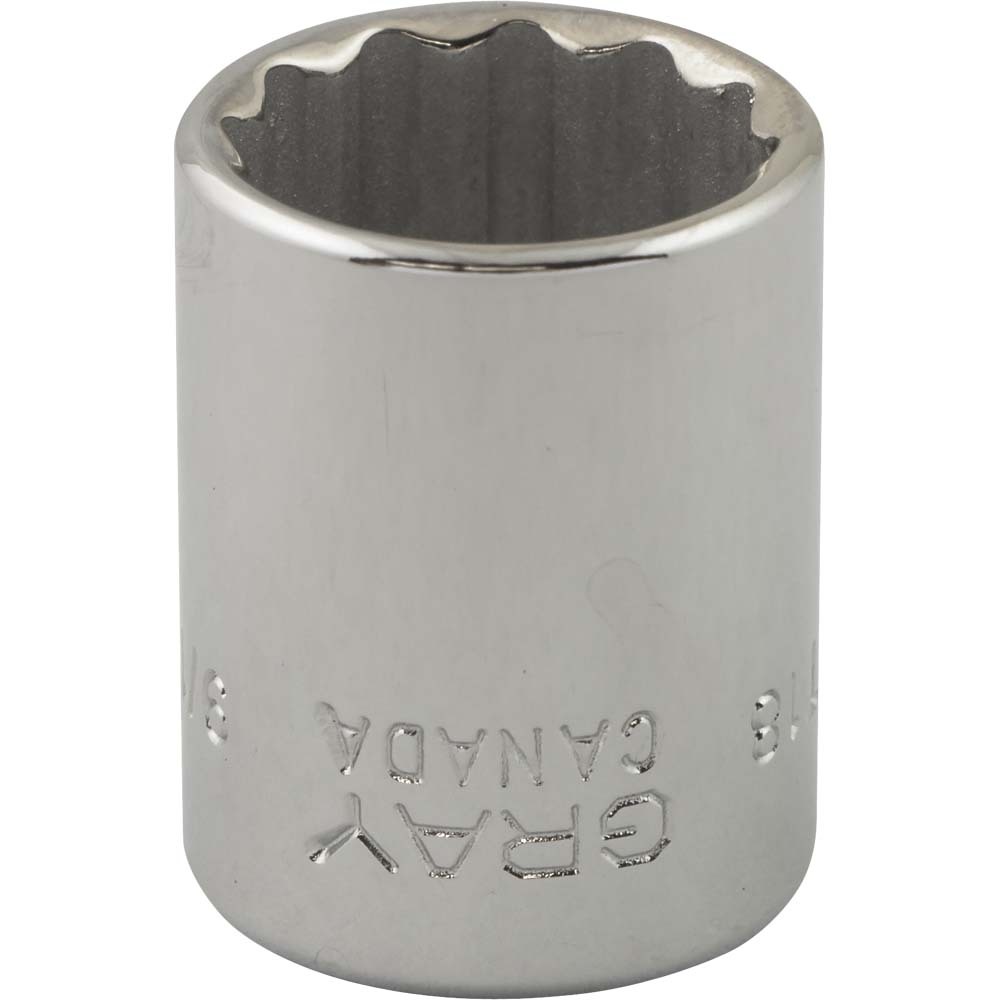 9/16&#34; X 3/8&#34; Drive, 12 Point Standard Length, Chrome Finish Socket