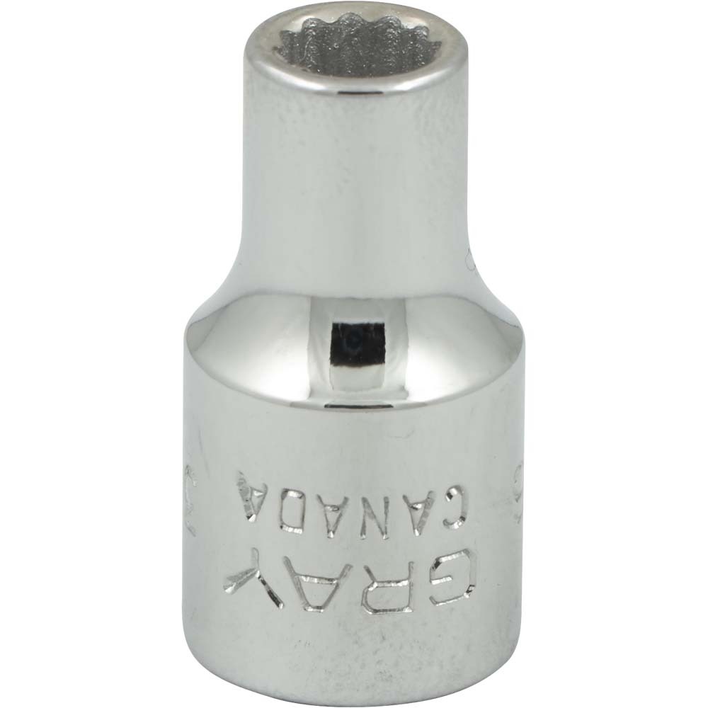 3/16&#34; X 1/4&#34; Drive 12 Point, Standard Length, Chrome Finish Socket