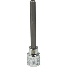Gray Tools D006458 - 3/8" Drive SAE Hex Head, 1/4" Long Bit, Chrome Finish Socket