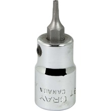 Gray Tools T609T - 3/8" Drive Standard Length Chrome Finish, T9 Torx Head Socket, Tamper Resistant
