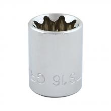 Gray Tools TS16 - 1/2" X 3/8" Drive, 8 Point Standard Length, Chrome Finish Socket
