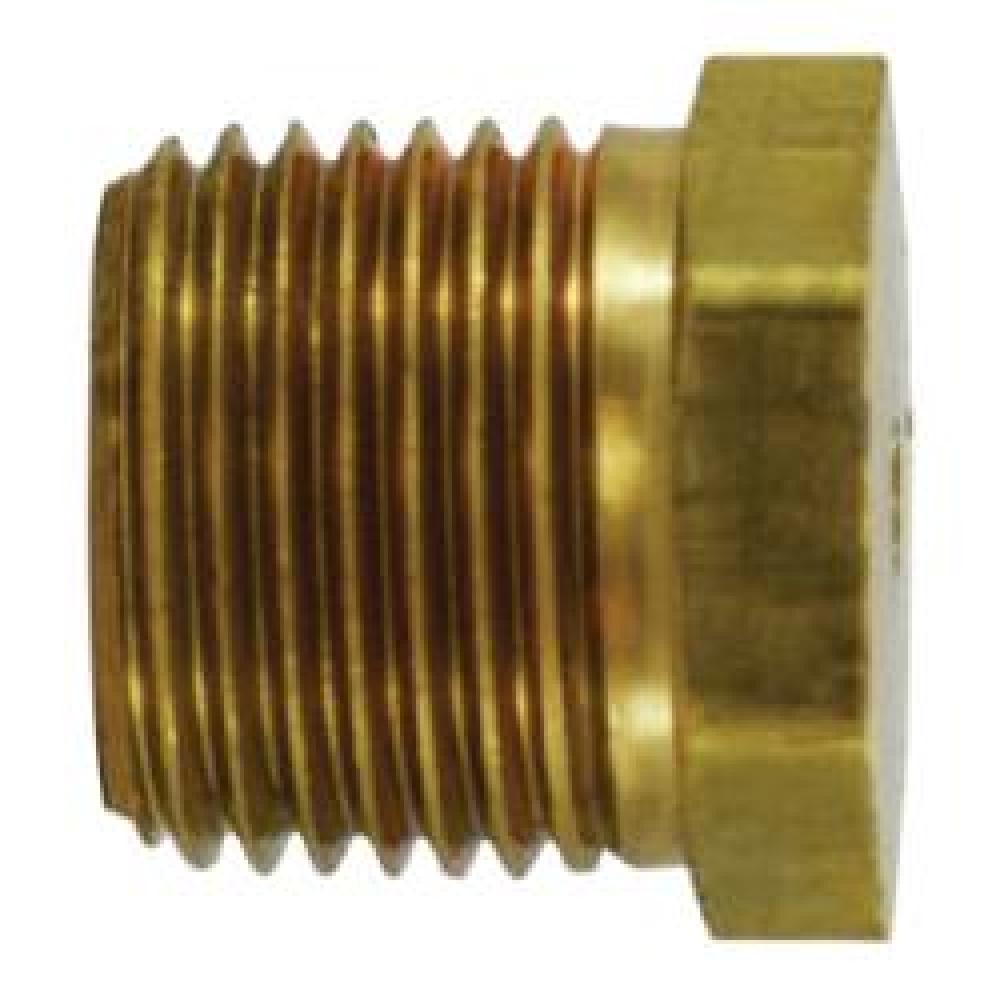 PLUG H HEX SOL 1/8IN MPT 0.55IN BRS