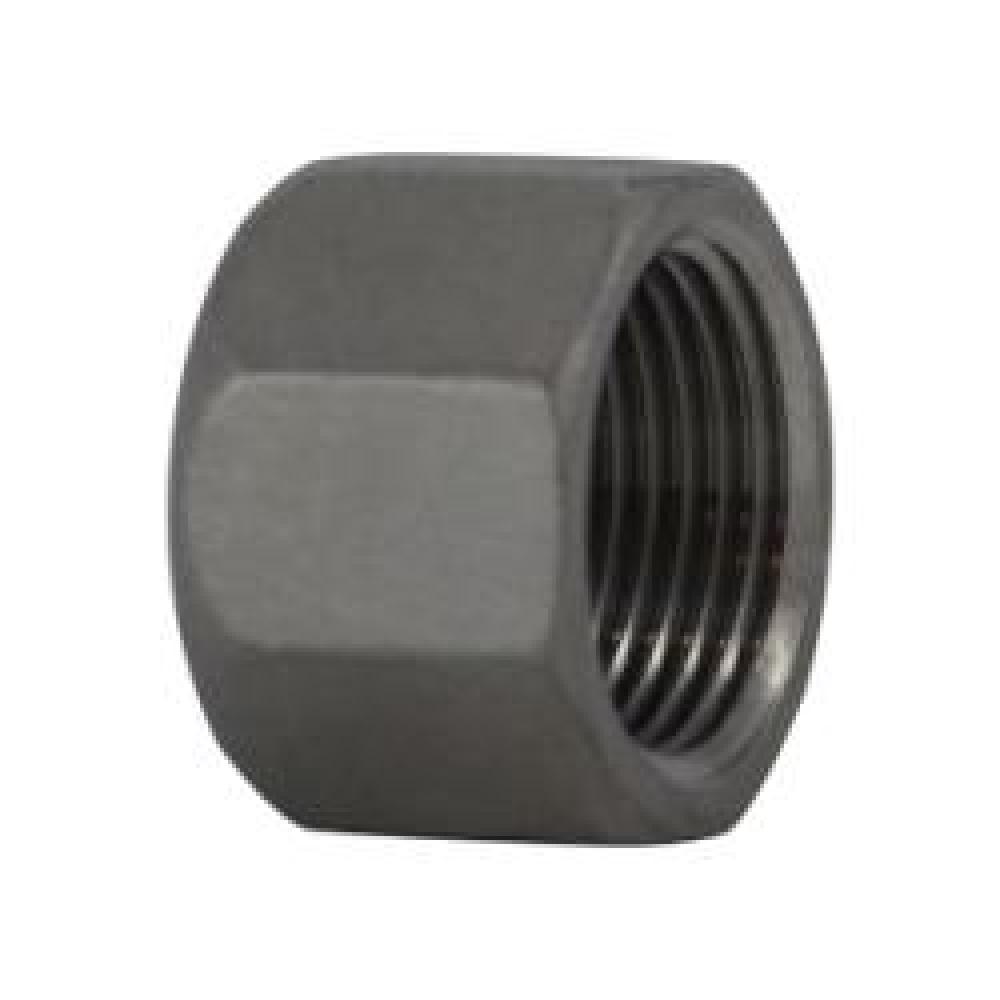 CAP HEX BARSTOCK 3/4IN FPT SST 150LB