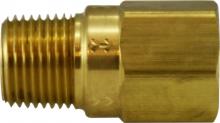 Buchanan 46575 - 1/8 MXF 500 PSI CHECK VALVE
