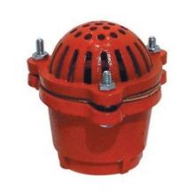 Buchanan FV-200-DP - VALVE FT 2IN FPT STL