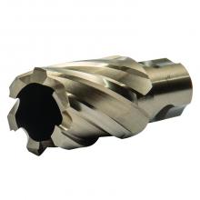 Walter Surface 05E105 - 1-5/16"X1" DEPTH SST CORECUT UNIV. SHANK