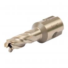 Walter Surface 05E013 - 13/16"X1" DEPTH SST CORECUT UNIV. SHANK