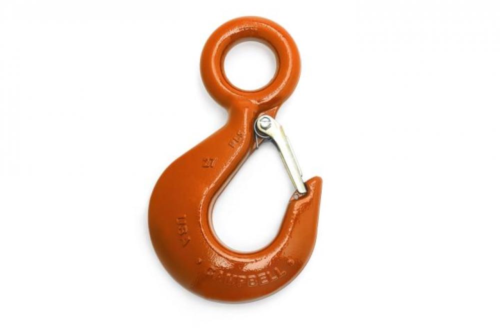 ALLOY EYE HOIST HOOK W/LATCH,PL,#24,2T