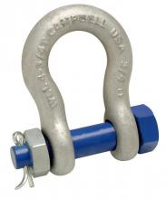 Campbell T5391235 - 3/4" ANCHOR SHACKLE,BOLT TYPE,H/G