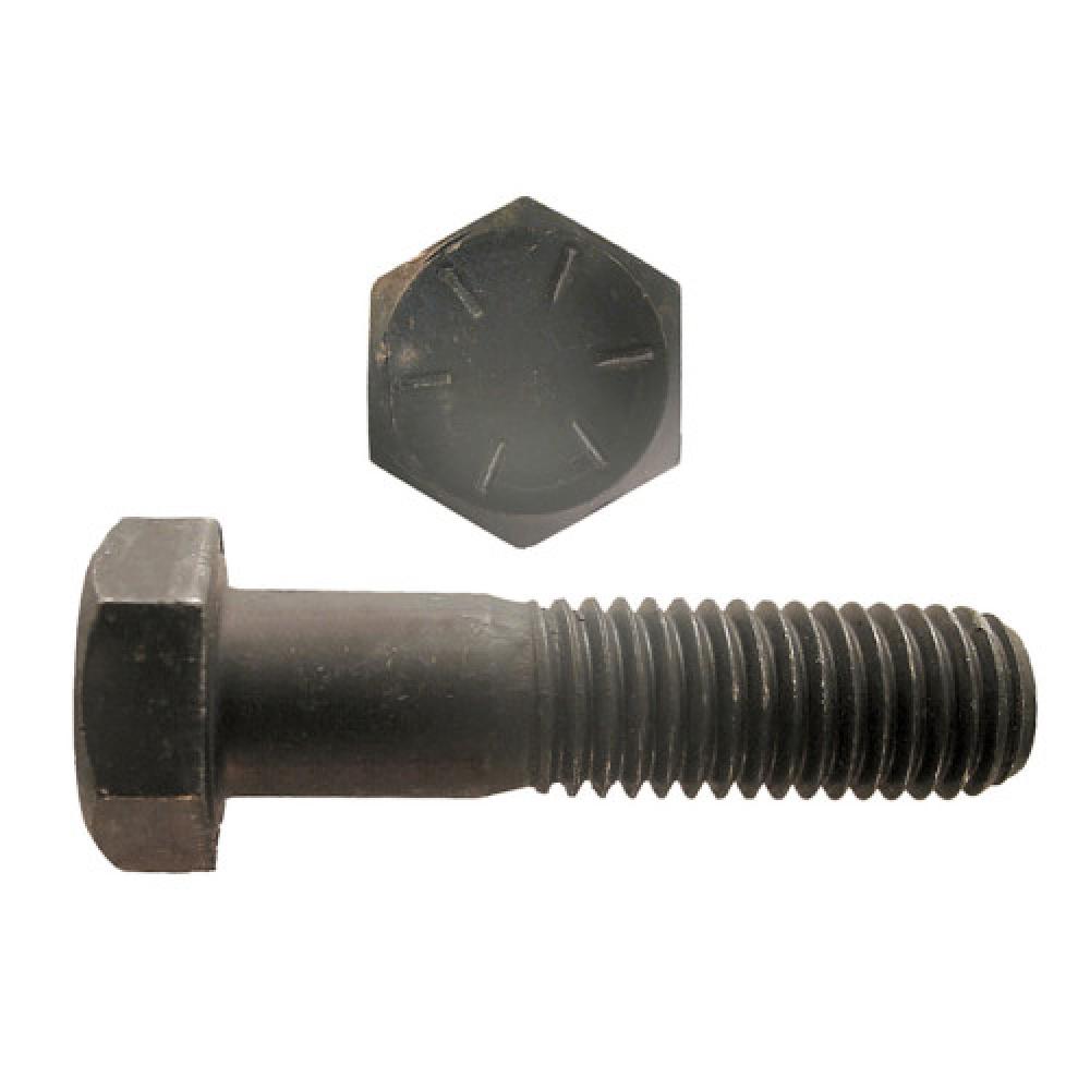 Stainless Hex Nuts (1&#34;-8) - 3 pc