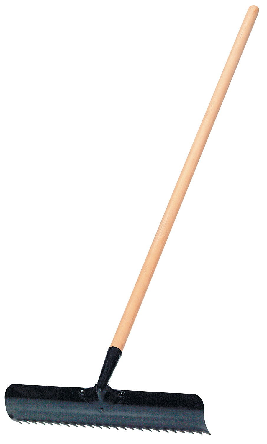 Dandelion rake deals