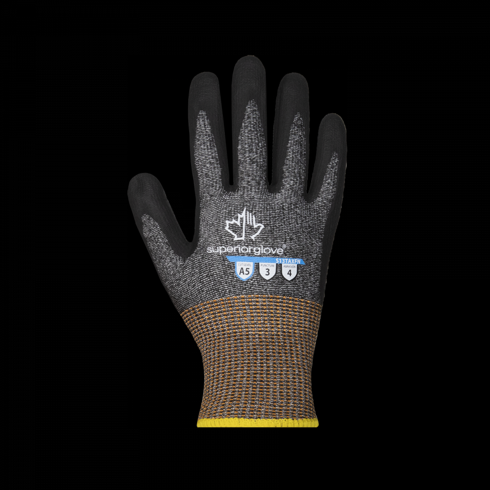 CUT A5 + FOAM NITRILE PALMS