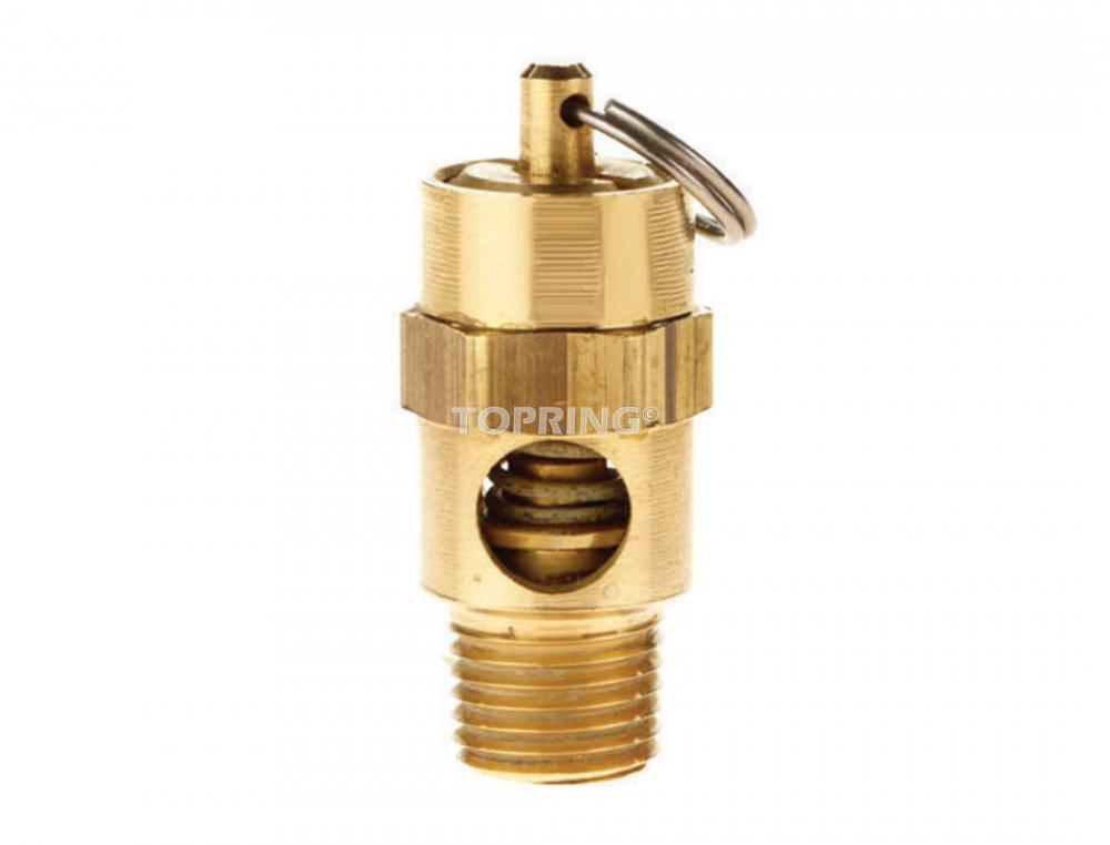 ASME Air Safety Valve 1/4(M)NPT 450 PSI