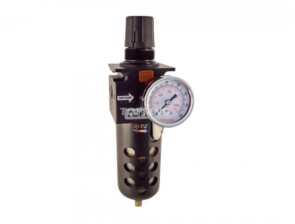 5 Micron Filter Regulator 0 to 125 PSI 1/4 (F) NPT S50