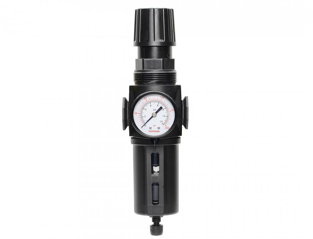 5 Micron Filter Regulator 30 to 125 PSI 1/4 (F) NPT S50