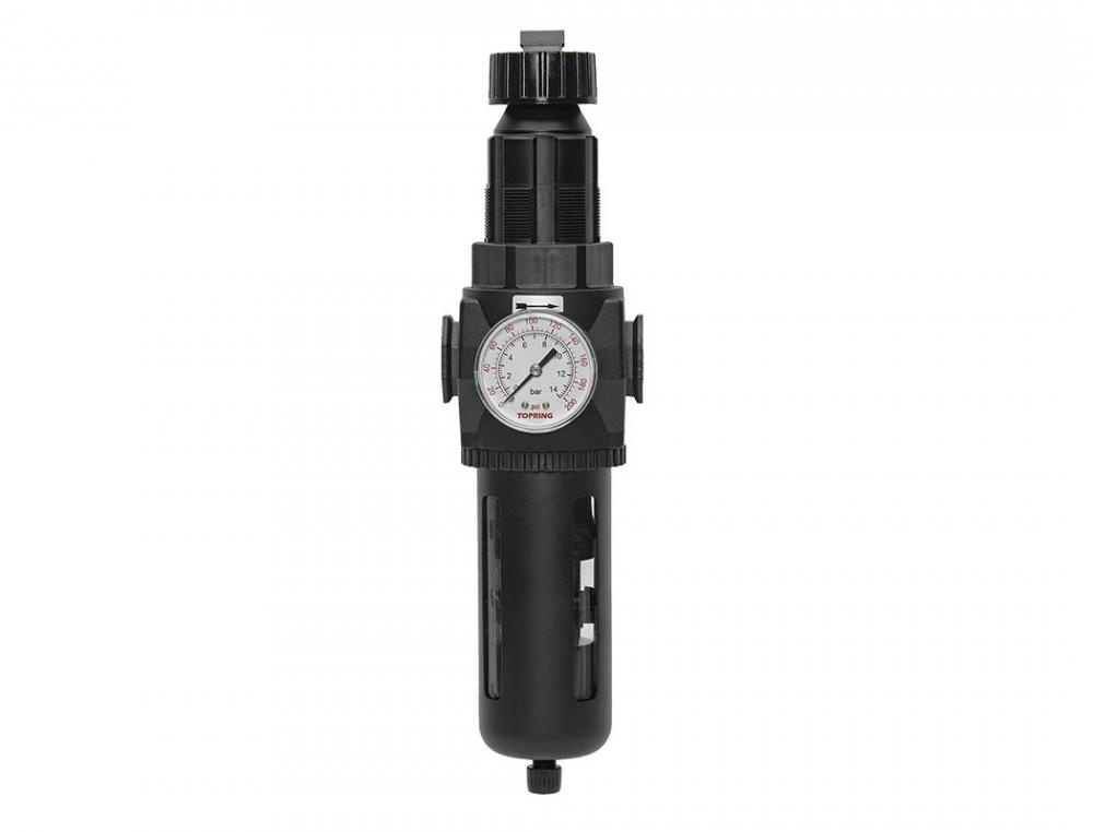 5 Micron Filter Regulator 30 to 125 PSI 3/4 (F) NPT S50