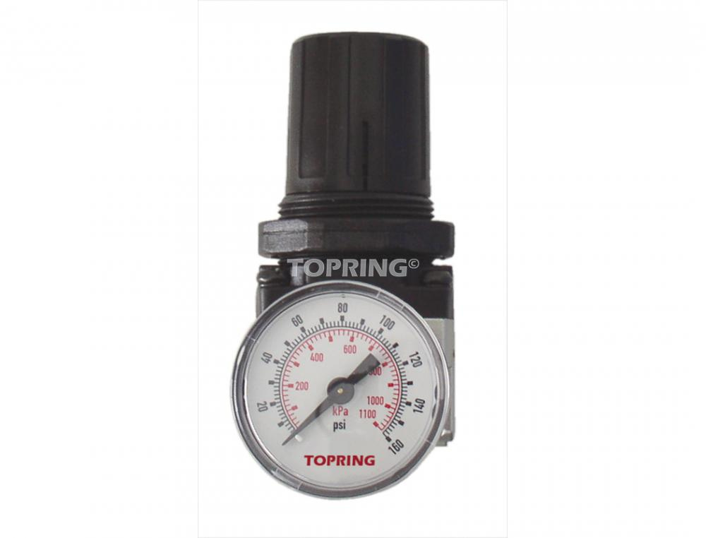 AIRFLO 200 Regulator 1/4 (5-125)