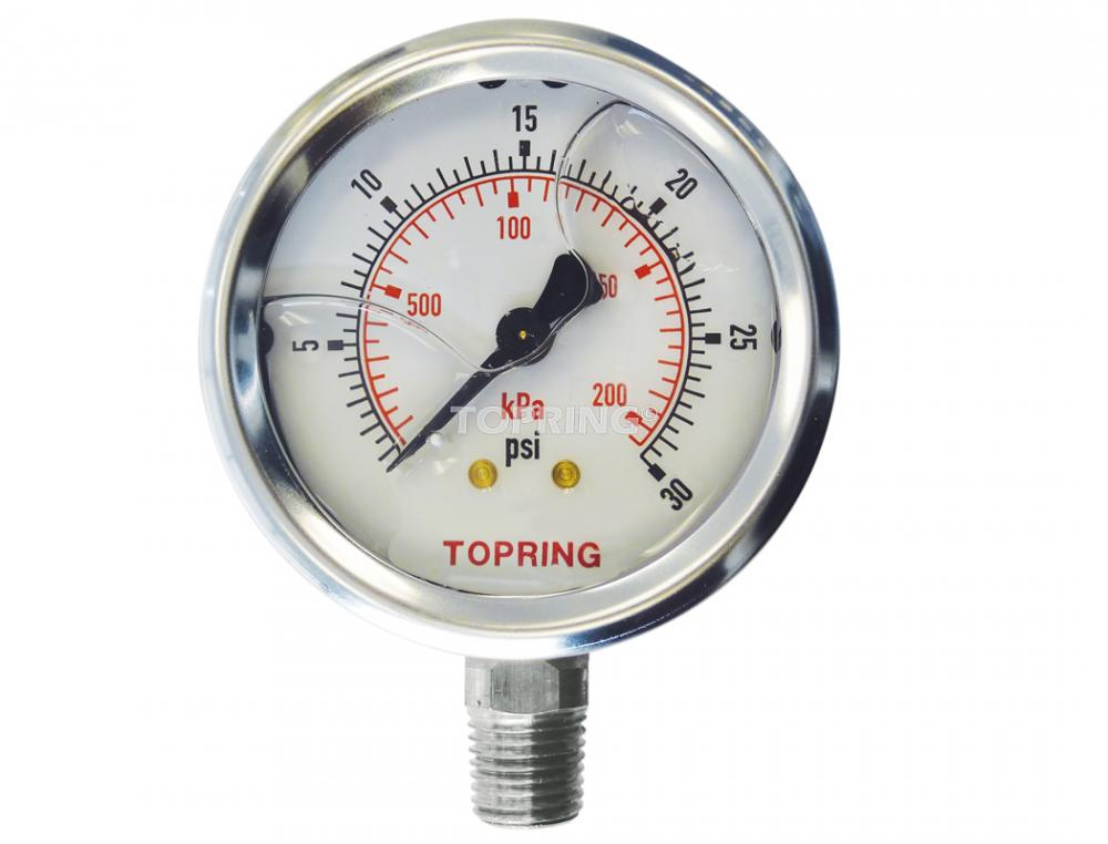 Liquid Gauge 4&#34; - 1/4NPT LM 0-30 SS