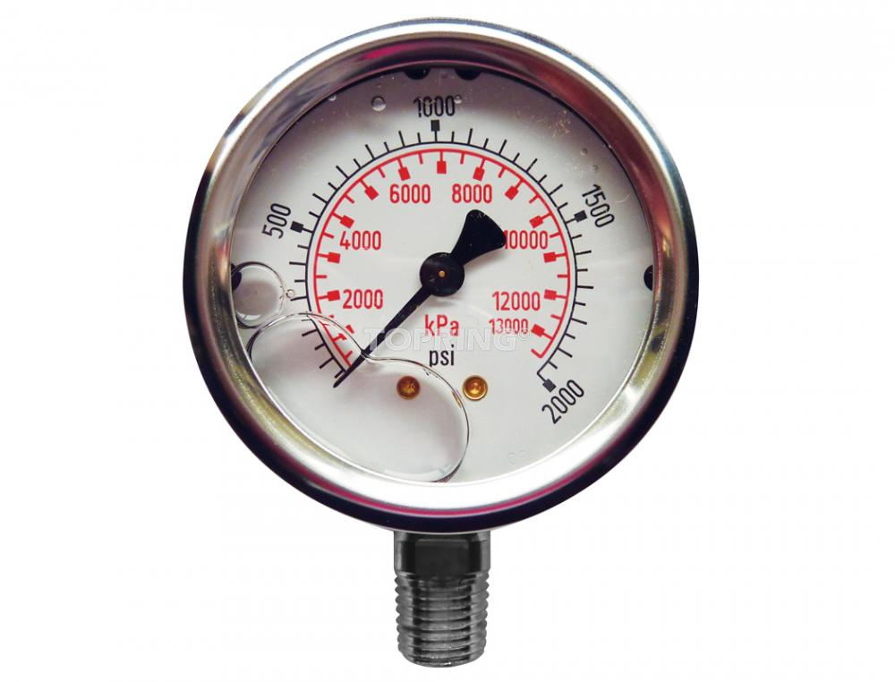 Liquid Gauge 4&#34; - 1/4NPT LM 0-2000 SS
