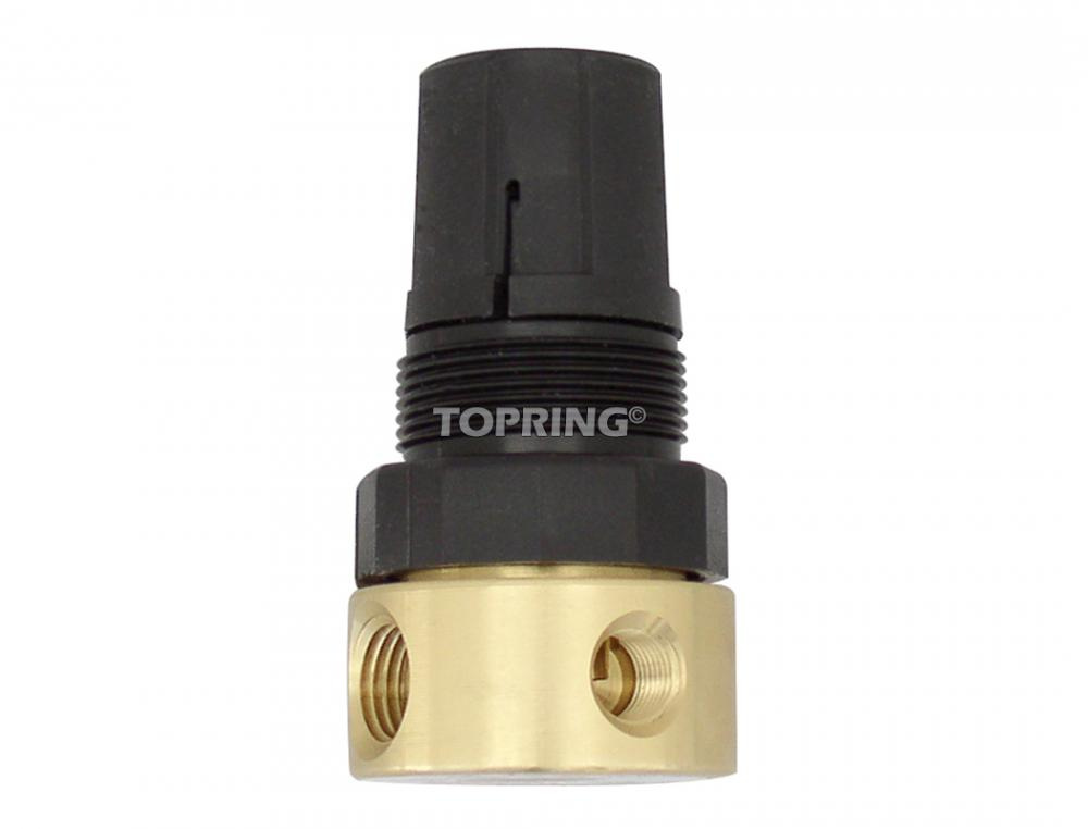 Brass Adjustable Pressure Relief Valve 0 to 100 PSI