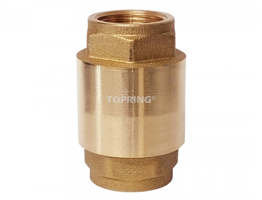 Brass Check Valve 2 (F) NPT