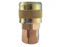 Topring 20.444.05 - 1/4 Industrial Brass Quick Coupler 1/4 (F) NPT