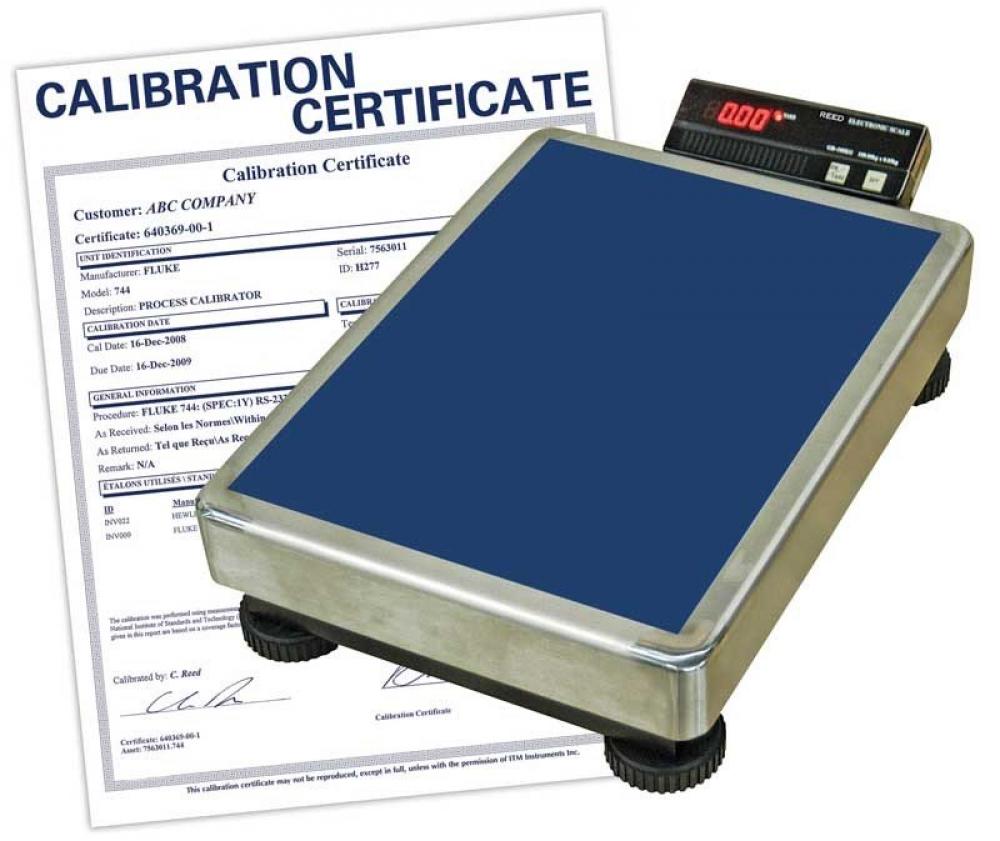 REED GB-100KG Heavy Duty Bench Scale