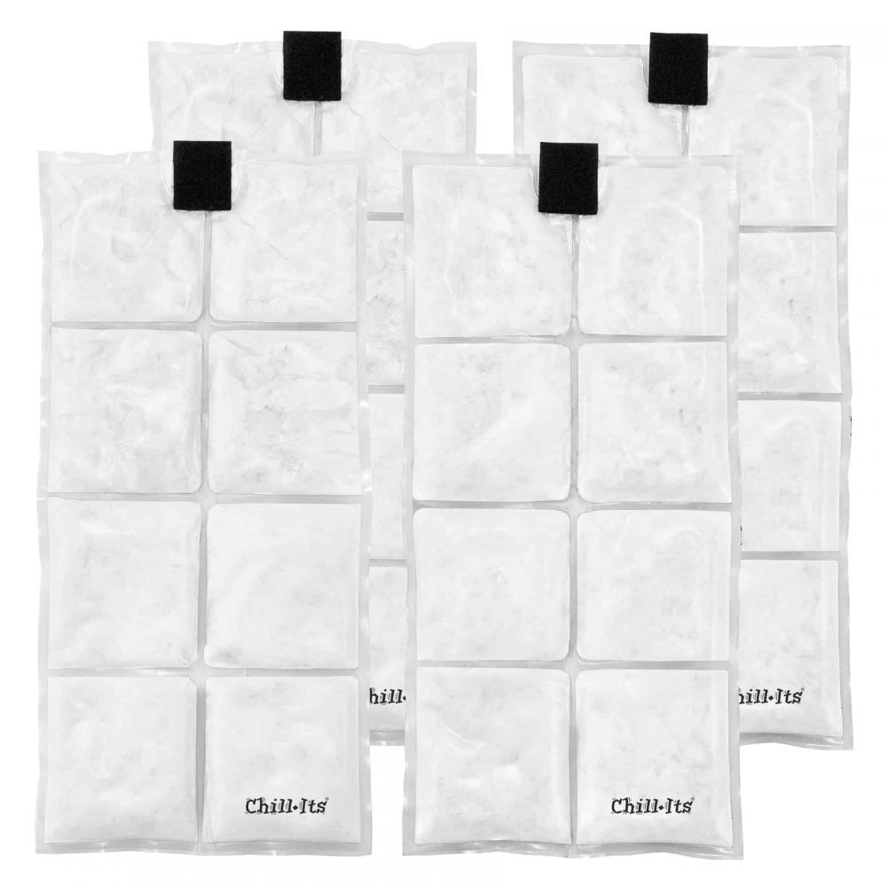 6250 Clear Lightweight Phase Change Cooling Packs 4-Pack