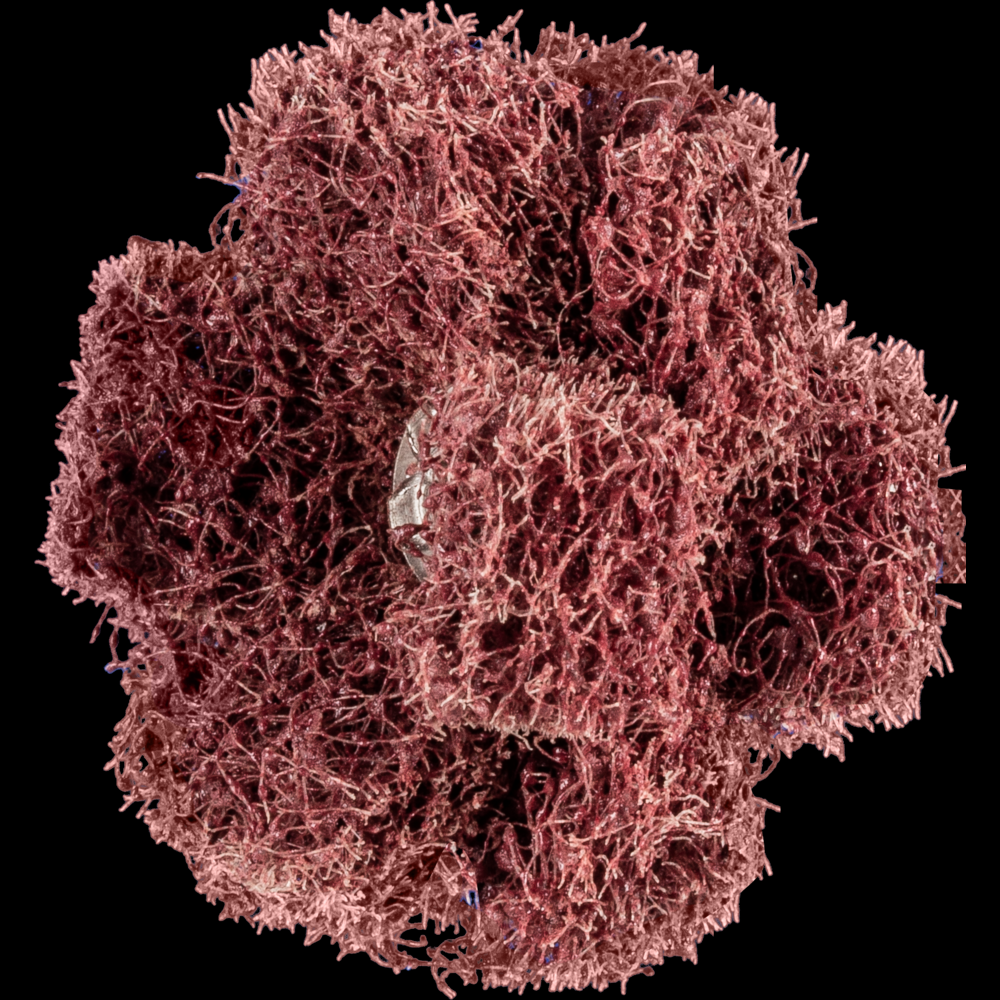 PFERD POLINOX® Cross Buff, 1-1/2&#34;, 3 Layers, 8-32 Thread,80 Grit Coarse,Aluminum oxide