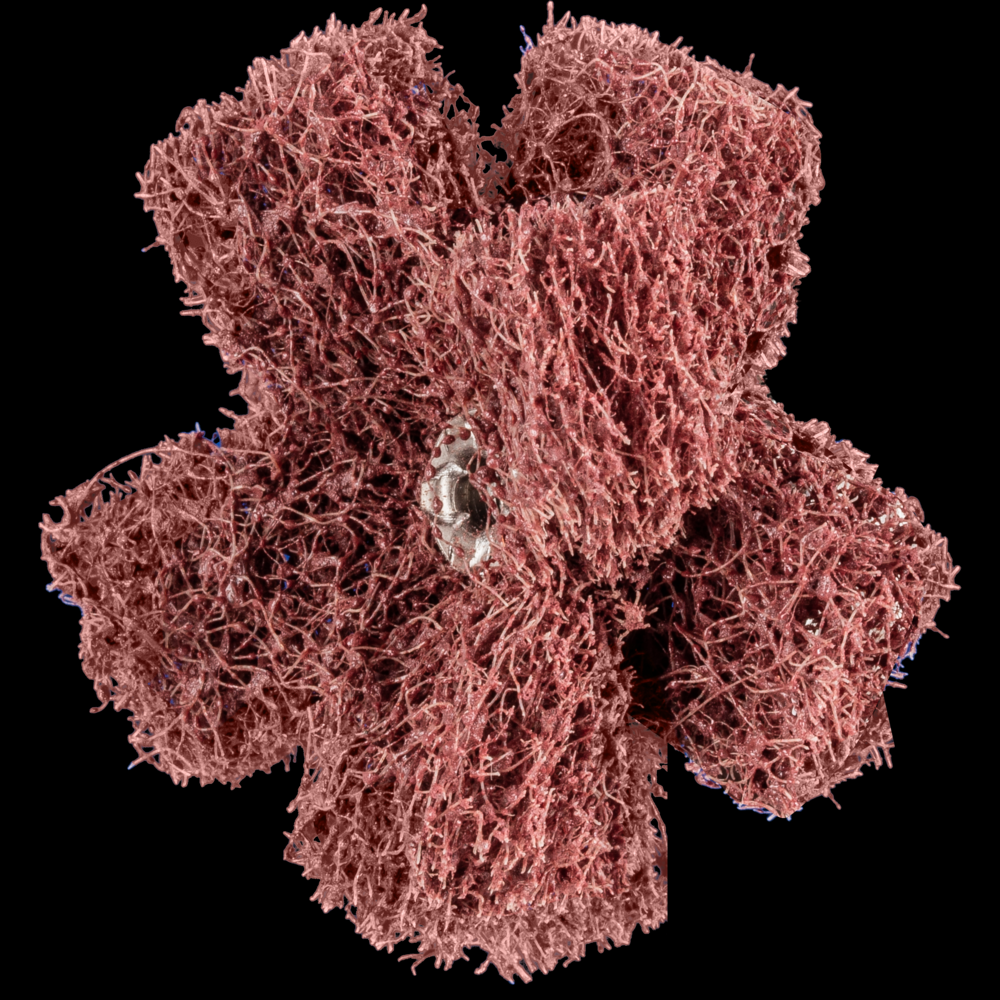 PFERD POLINOX® Cross Buff, 2&#34;, 2 Layers, 8-32 Thread, 80 Grit Coarse, Aluminum oxide