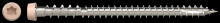 Simpson Strong-Tie DCU234S316TN05 - Deck-Drive™ DCU COMPOSITE Screw (Collated) — #10 x 2-3/4 in. Type 316, Tan 05 (1000-Qty)
