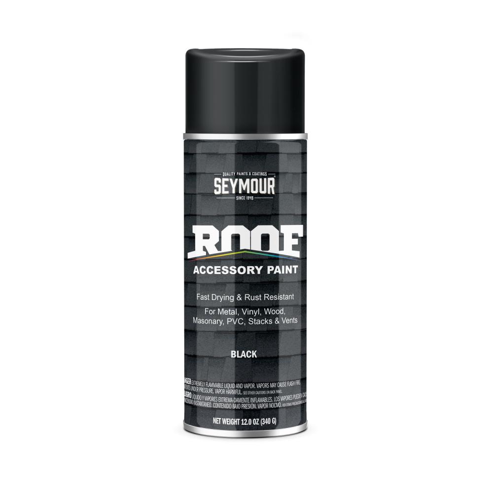 Roof Accessory Spray Paint, Flat Black (12 oz.)