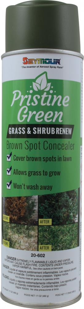 20-602 Grass and Shrub Renew, Pristine Green - Professional-Grade Brown  Spot Concealer, Easy Point and Spray Application (17 oz) - Seymour Paint