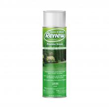 Seymour of Sycamore 0000200602 - Grass and Shrub Renew Spray Paint, Pristine Green (17 oz.)