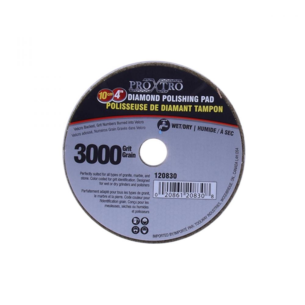 10Pc Diamond Wet/Dry Polishing Pad 4in 3000grit