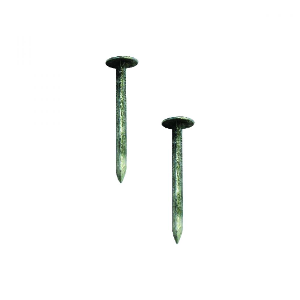 Roofing Nail  HD Galv 1in 1lbs (400g)/pk