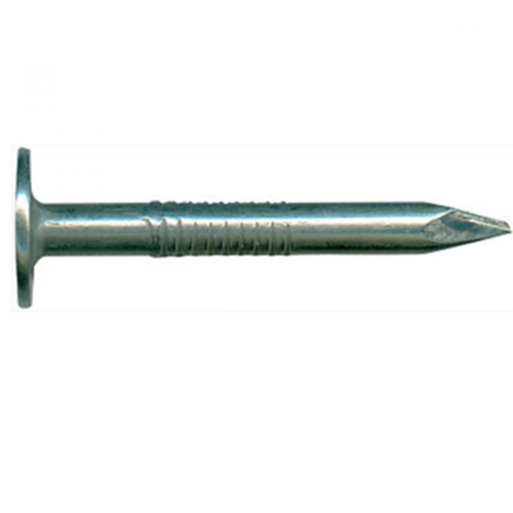 Roofing Nail Electro Galv 2 ½in 50lbs/box