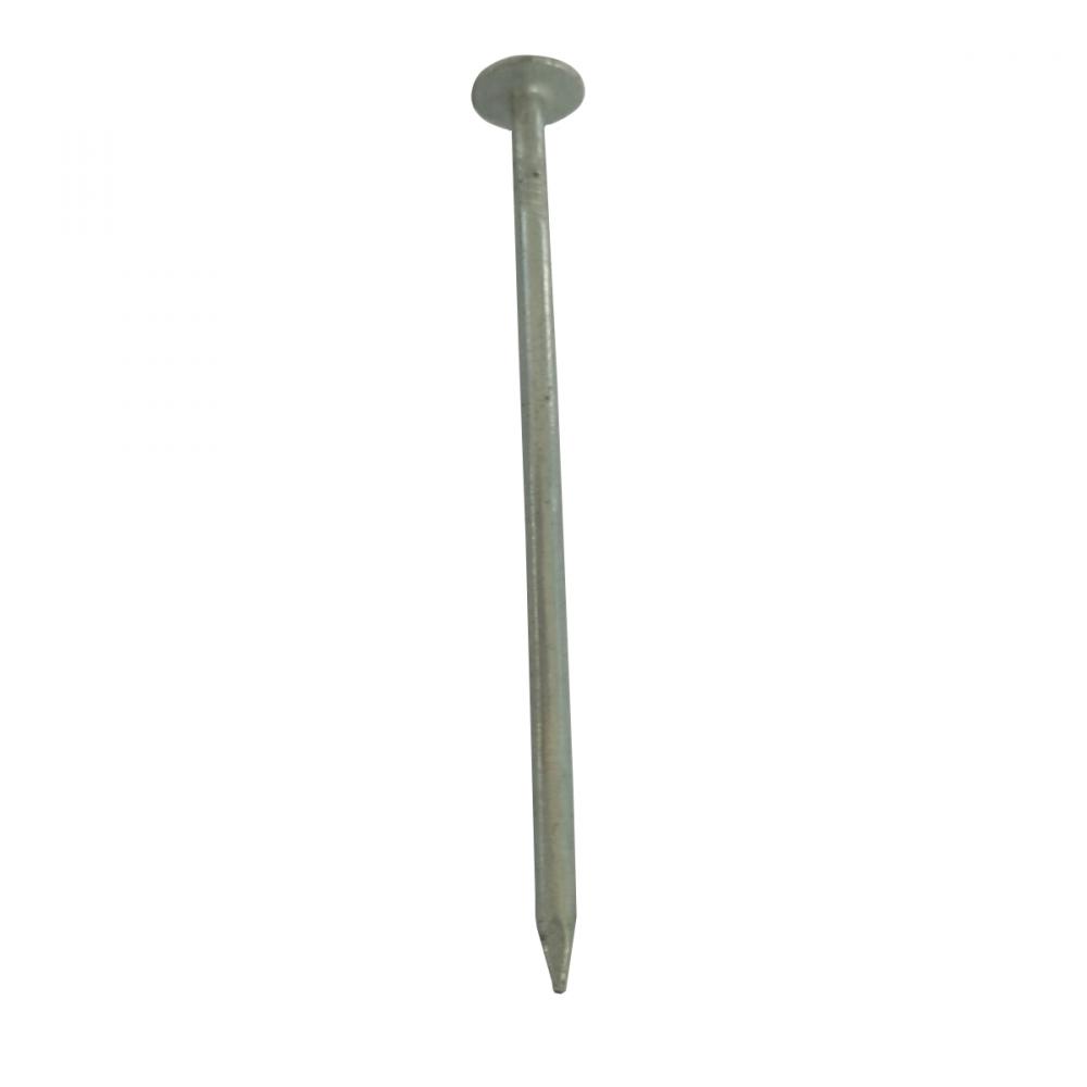 Roofing Nail Electro Galv 3in 50lbs/box