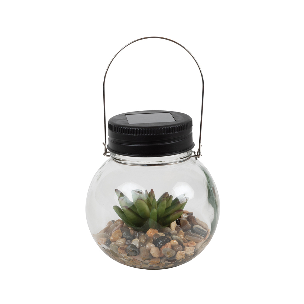 Solar Round Glass Succulent Jar Assorted Styles