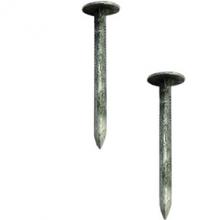 Toolway 169468 - Roofing Nail HD  Galv 1in 3lbs (1.5kg)/pk