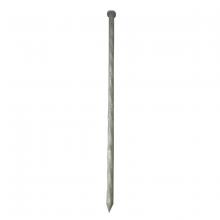 Toolway 169498 - Spiral Standard Nail Galv 12in 50lbs/box