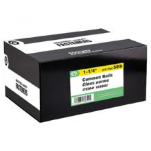 Toolway 169692 - Common Nail 1 ¼in 50lbs/box