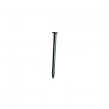 Toolway 169696 - Common Nail 3 ½in 50lbs/box