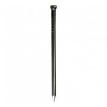 Toolway C2F4 - 6D Common Nail 2in Bright Smooth Finish 400G