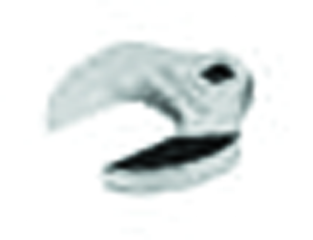 1/2&#34; Drive SAE 2-7/16&#34; Open-End Crowfoot Wrench