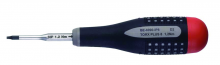 Bahco BAHBE6990T6K - Torx Blade T6
